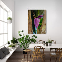 Bananaflower (60x80cm)