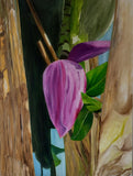 Bananaflower (60x80cm)