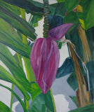 Bananaflower (50x60cm)