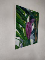 Bananaflower (50x60cm)