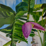 Bananaflower by the house wall (80x80cm)