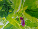 Bananaflower (80x60cm)