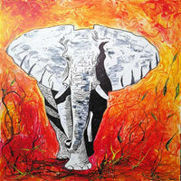 Red Elephant ( 80x80 cm )