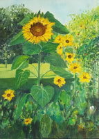 Sunflower ( 60x80 cm )